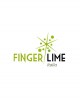 Finger Lime faustrime o a polpa bianca - box con 250 g di frutti - Finger Lime Italia